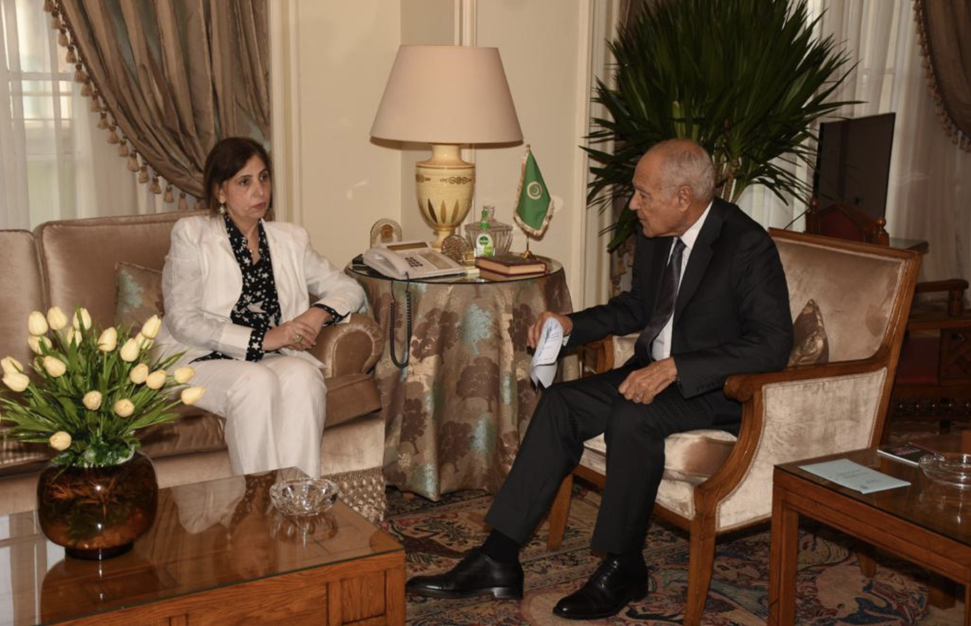 أمين عام جامعة الدول العربية أحمد أبو الغيط يلتقي الأمينة التنفيذية للجنة (إسكوا) رولا دشتي