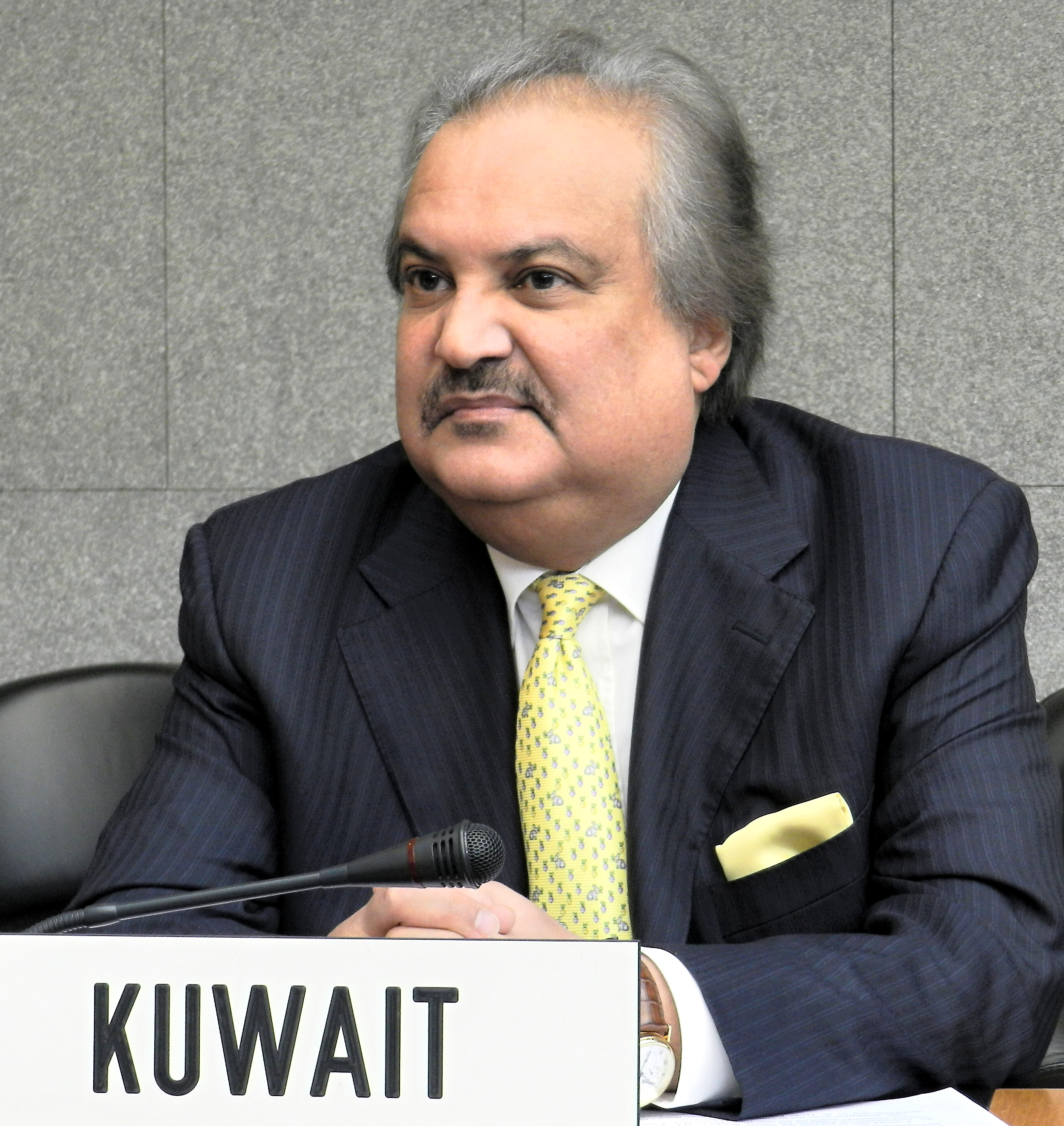 Kuwait calls for harnessing all means to protect Syrian people