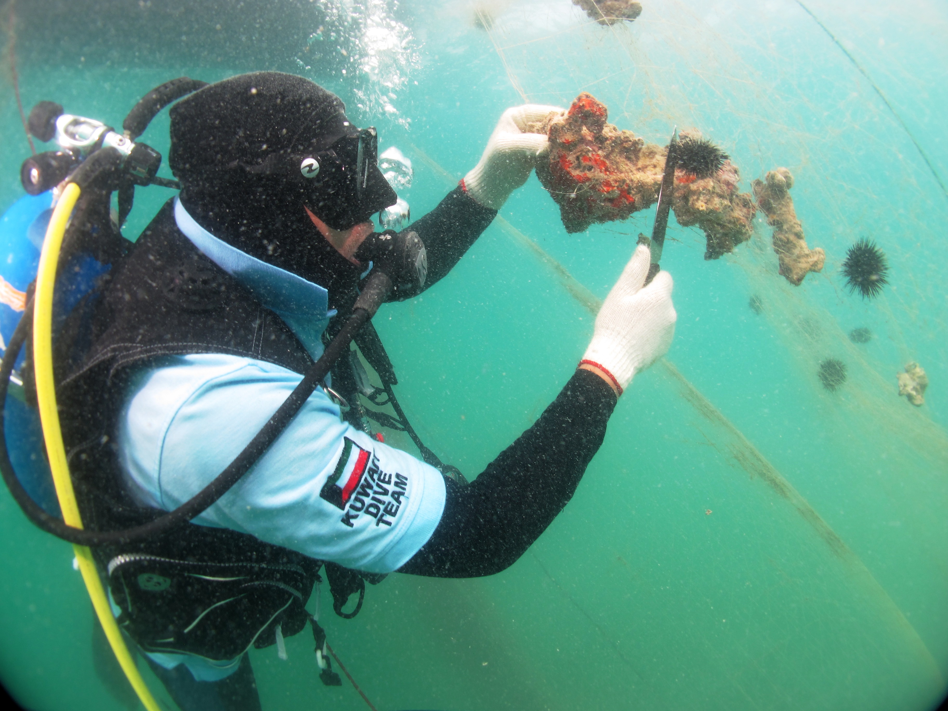 Kuwait divers clean up Douhat Bnaider reef