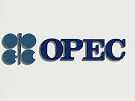 (OPEC)