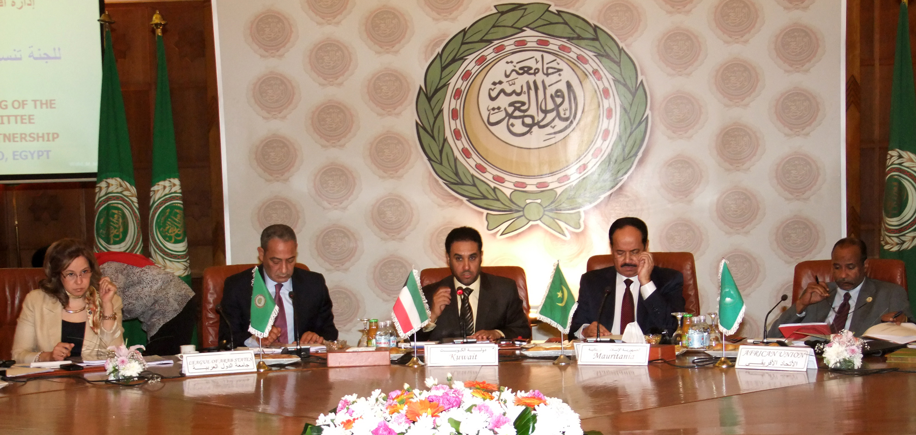 Senior Arab, African officials meet in Cairo