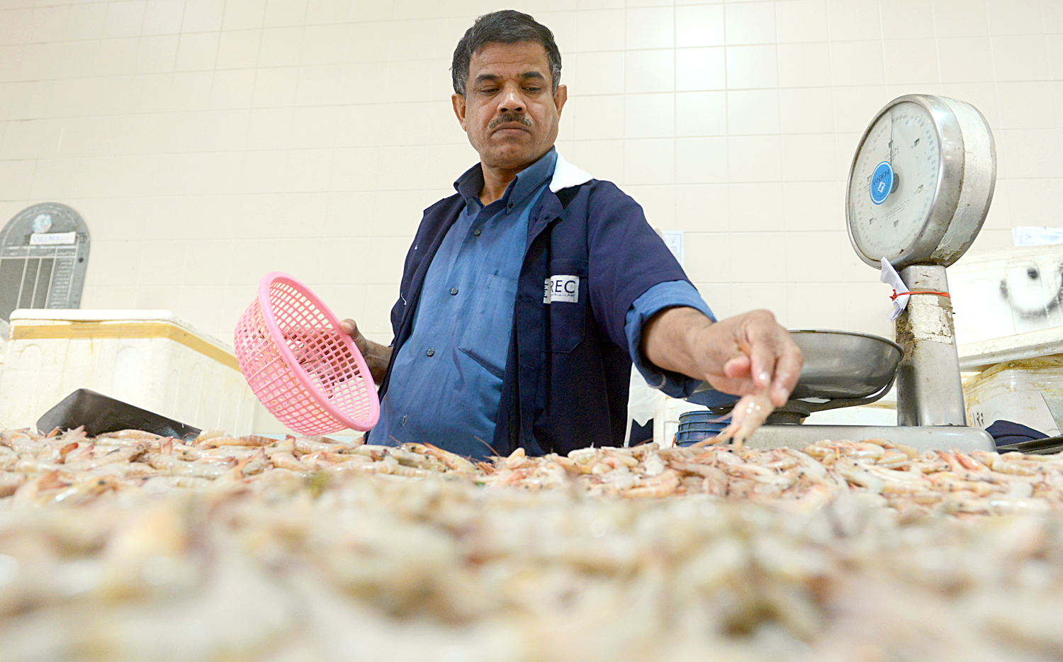 الروبيان الكويتي يتصدر بورصة أسواق السمك