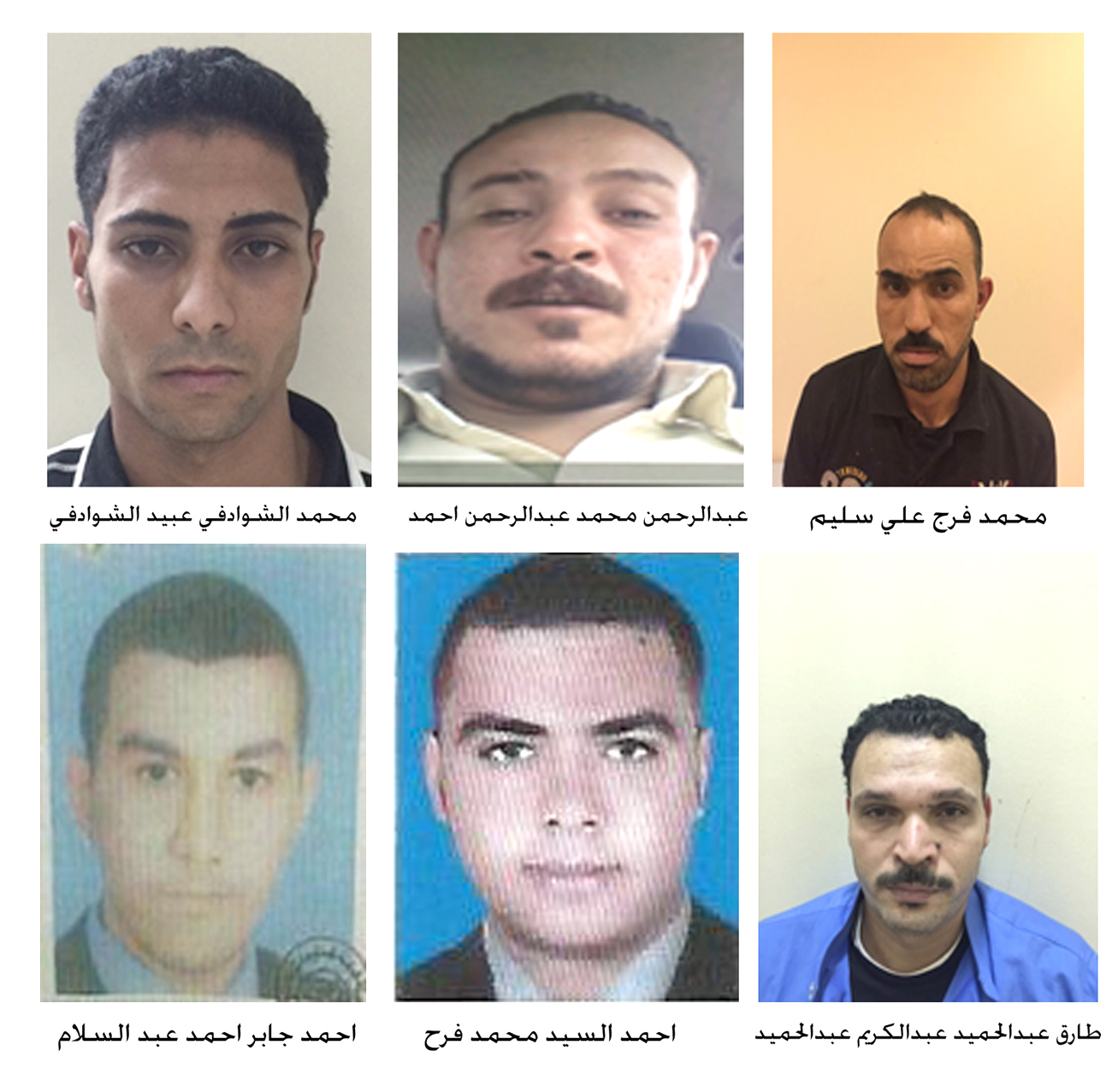 6 expats arrested for offending Kuwait - MOI