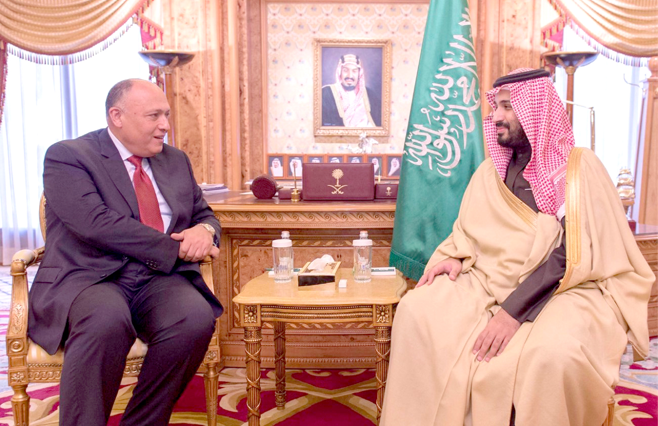 Egyptian Foreign Minister Sameh Shoukry meets the Deputy Crown Prince of Saudi Arabia and the Second Deputy Prime Minister and Minister of Defense of Saudi Arabia Prince Mohammad bin Salman