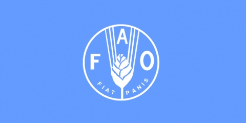 Food and Agriculture Organization of UN (FAO)
