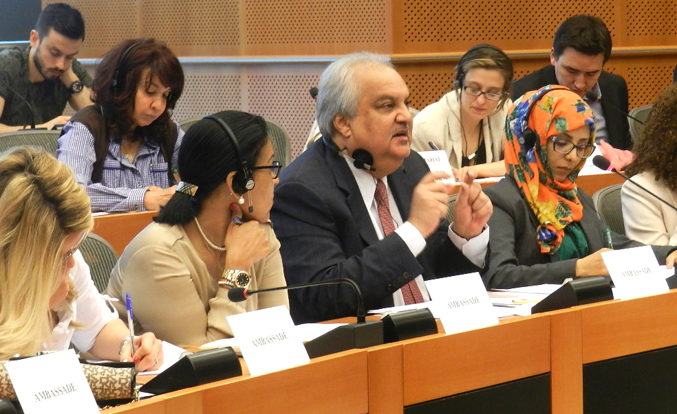 ambassador Dharar Abdul Razzak Razzooqi speaking in the EP on HUMAN RIGHTS DEBATE