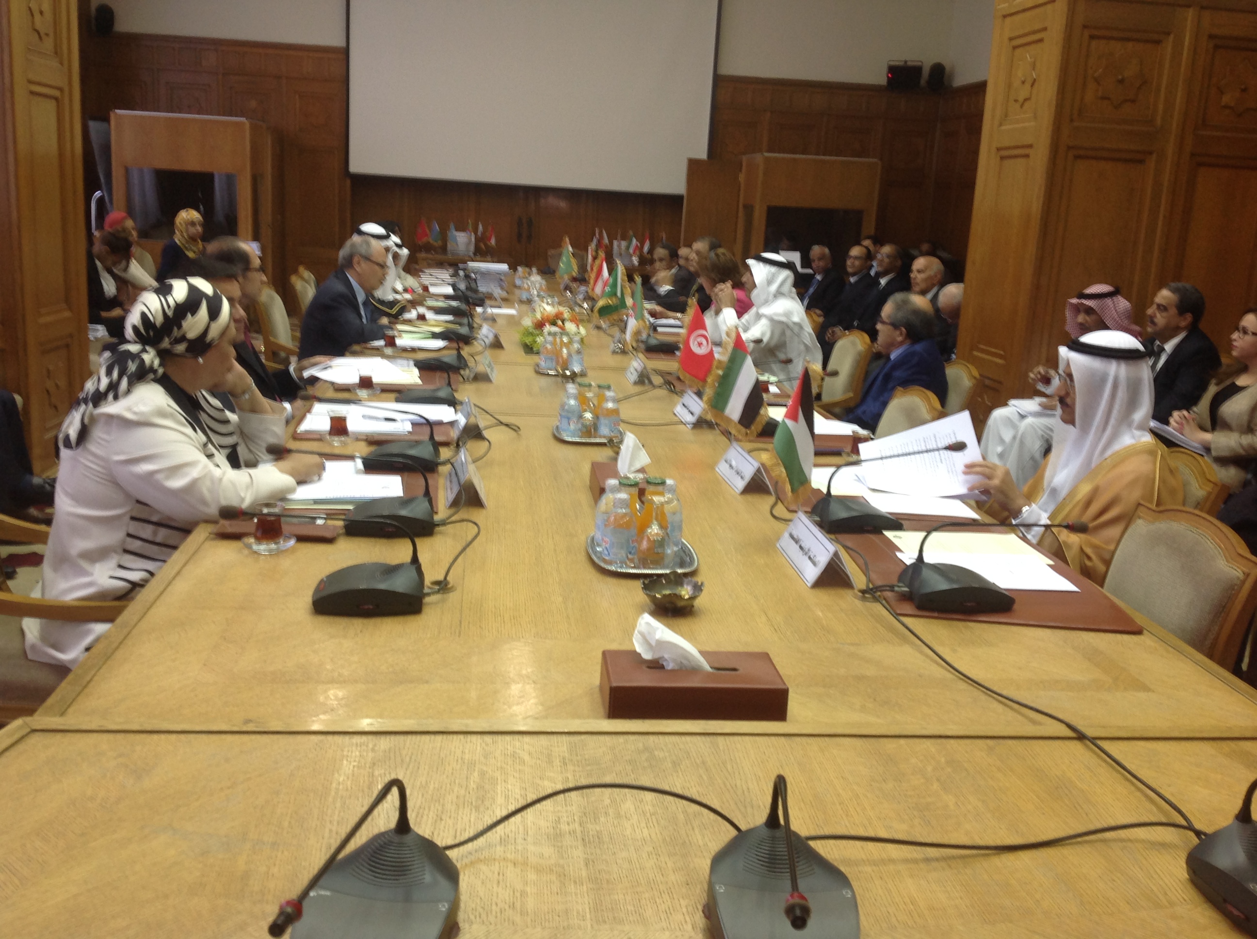 اجتماع اللجنة الوزارية العربية لمتابعة تنفيذ قرارات القمم العربية التنموية والاقتصادية والاجتماعية