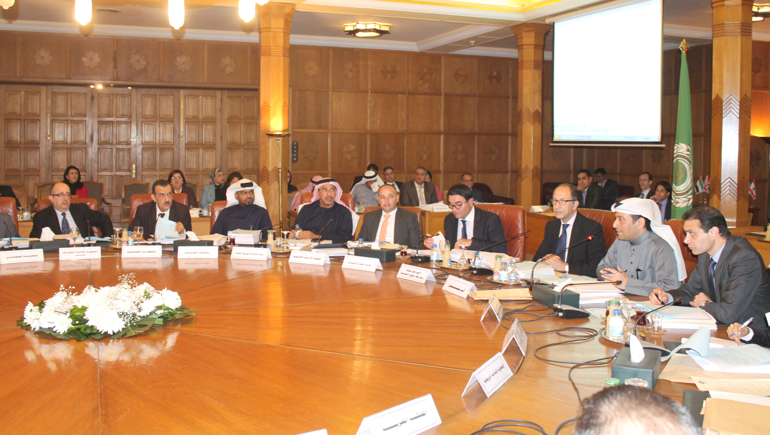 Social Affairs Committee of the Arab League Economic and Social Council during meeting
