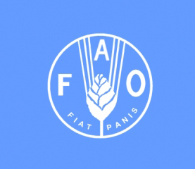 منظمة الأغذية والزراعة التابعة للأمم المتحدة (فاو)