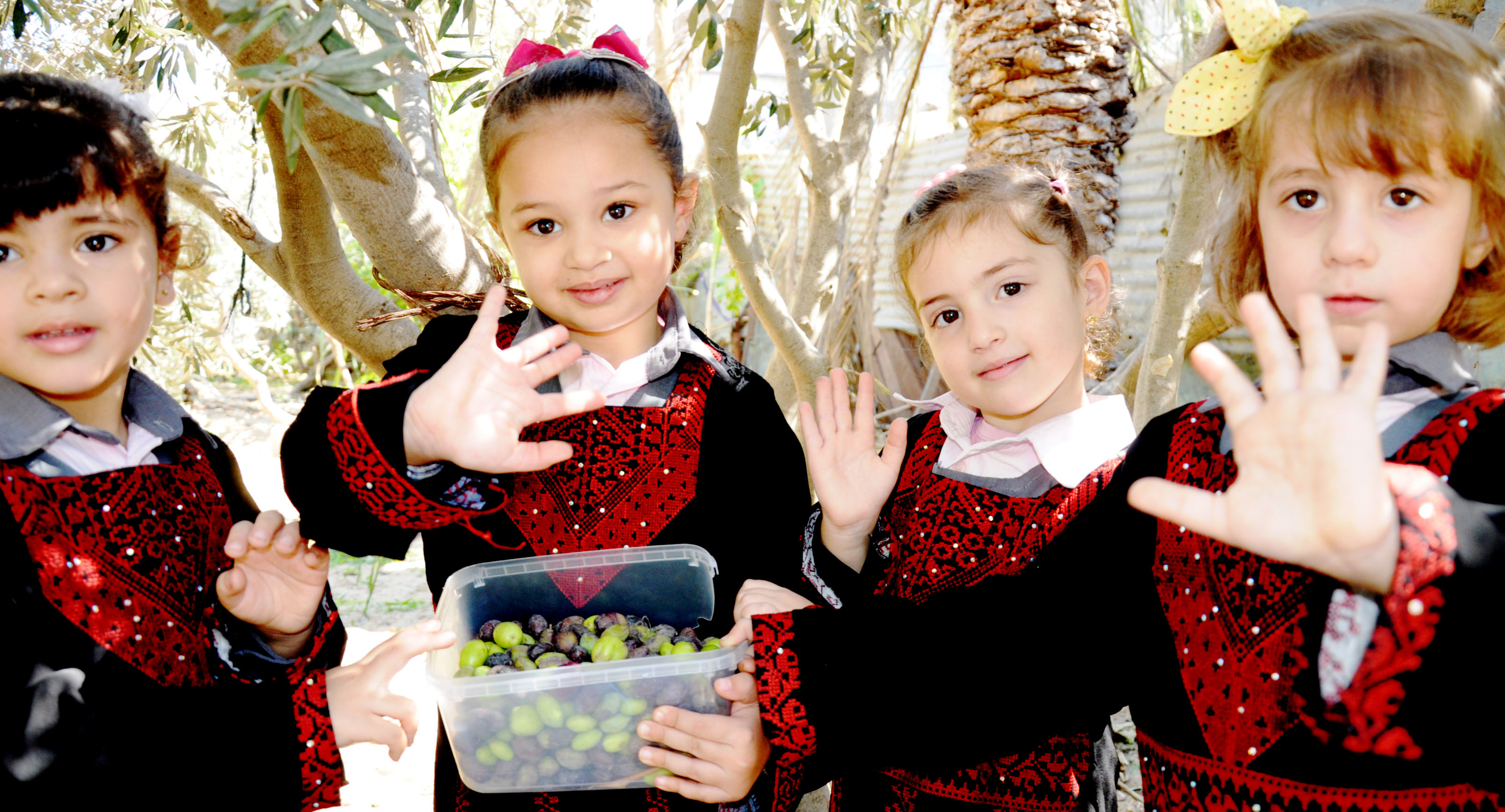 اطفال فلسطينييون يرتدون الثوب الفلسطيني أثناء جنى ثمار الزيتون للتعبير عن تمسكمهم بأرضهم وعاداتهم وتقاليد اجداهم