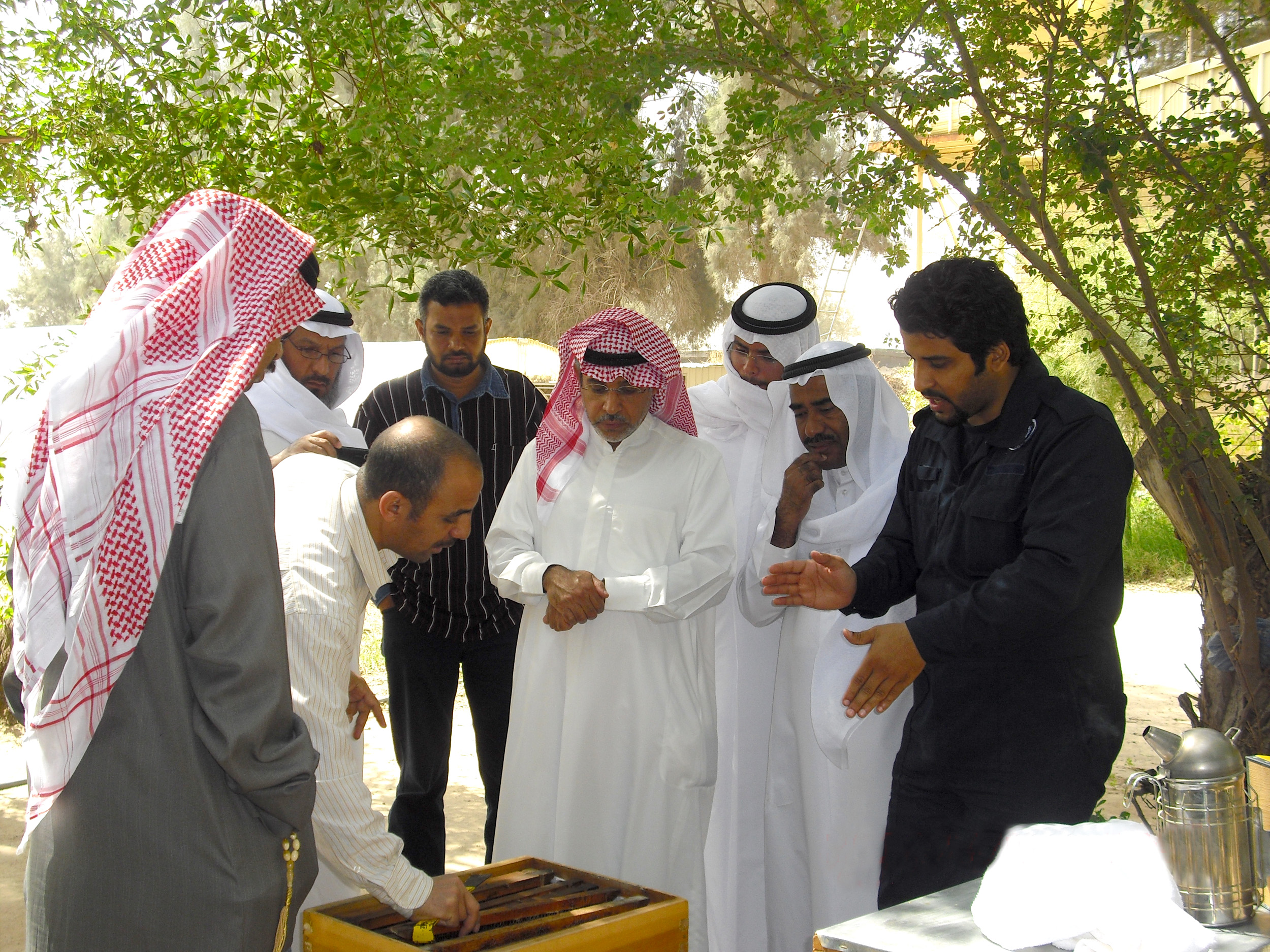 أحد عمليات فرز العسل بالمناحل