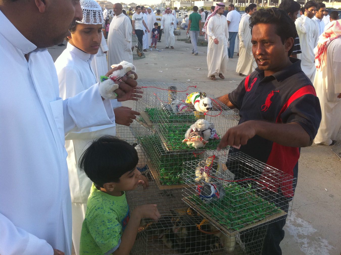 KUNA Kuwait Friday market shows signs of hope for our furry