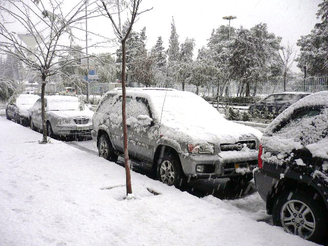 الاردن يتعرض لعاصفة ثلجية بدات يوم امس وتستمر حتى السبت