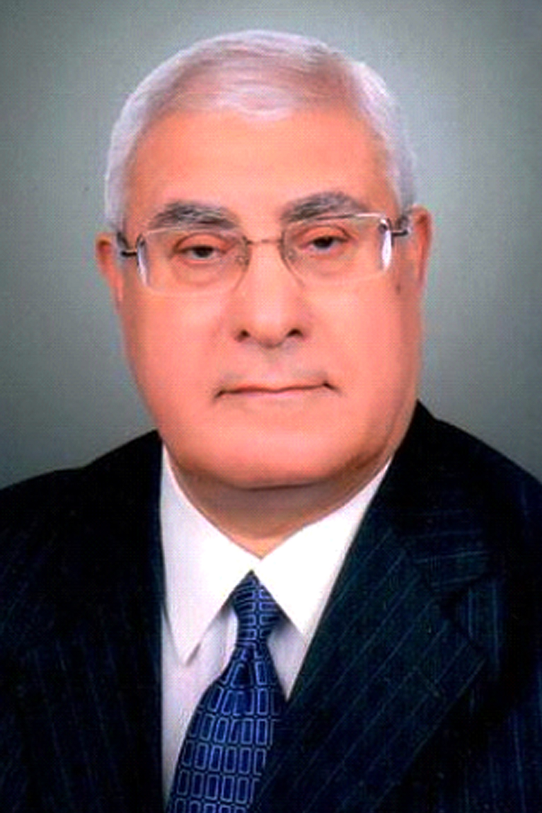 Egypt's interim President Adly Mansour