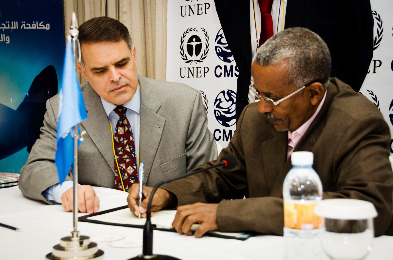 Combat illegal trafficking in sharks