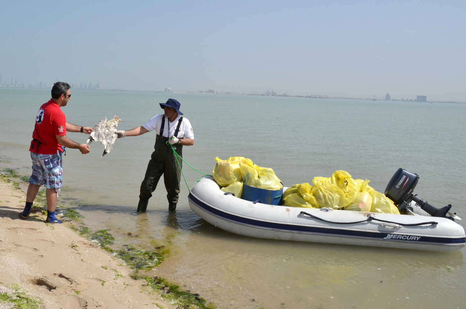 Members of Kuwait Diving Team lifts waste off Umm al Namil island
