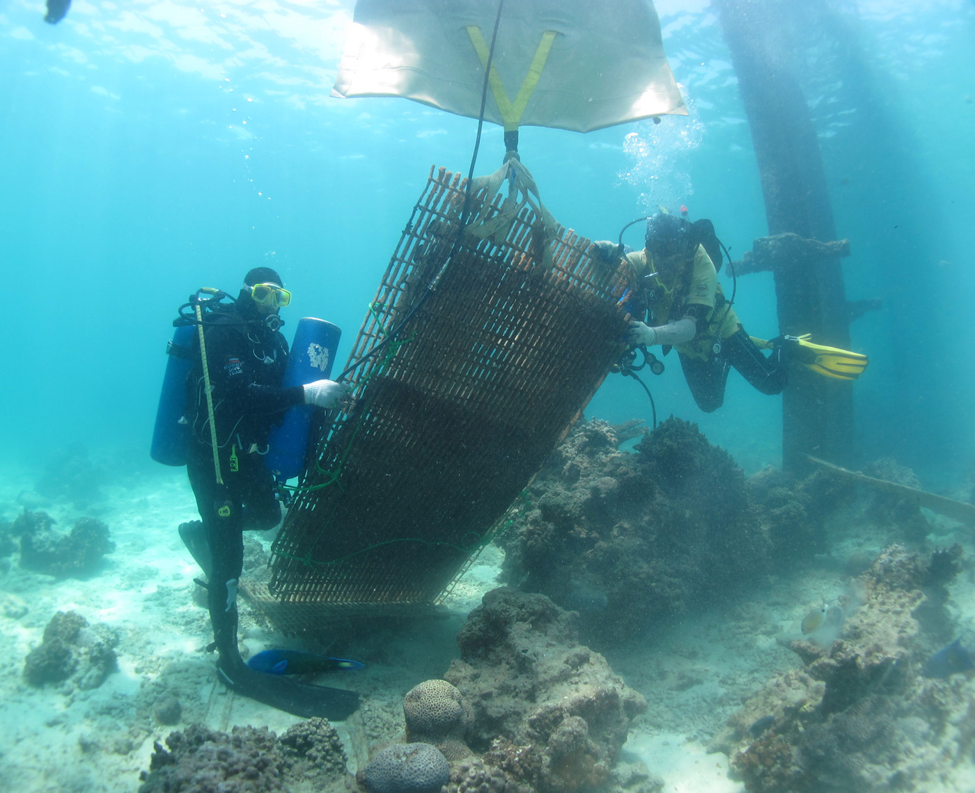 Kuwait Dive Team lifted three tons of waste and neglected ... - 1400 x 1139 jpeg 391kB