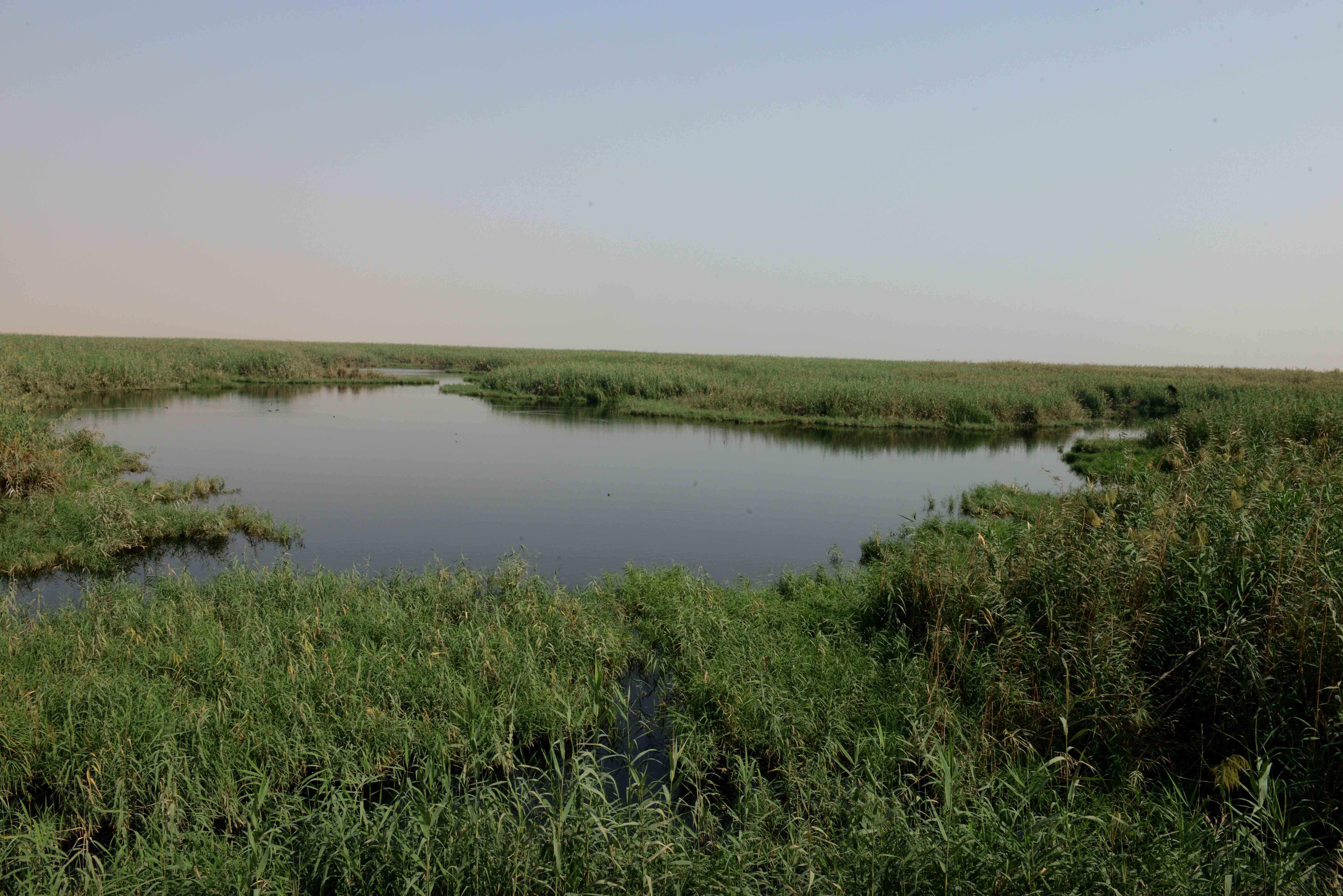 Jahra nature reserve.. A new touristic attraction