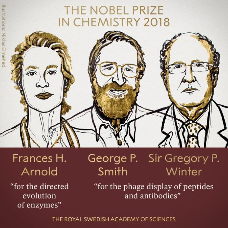 Nobel prize in chemistry awarded to three scientists