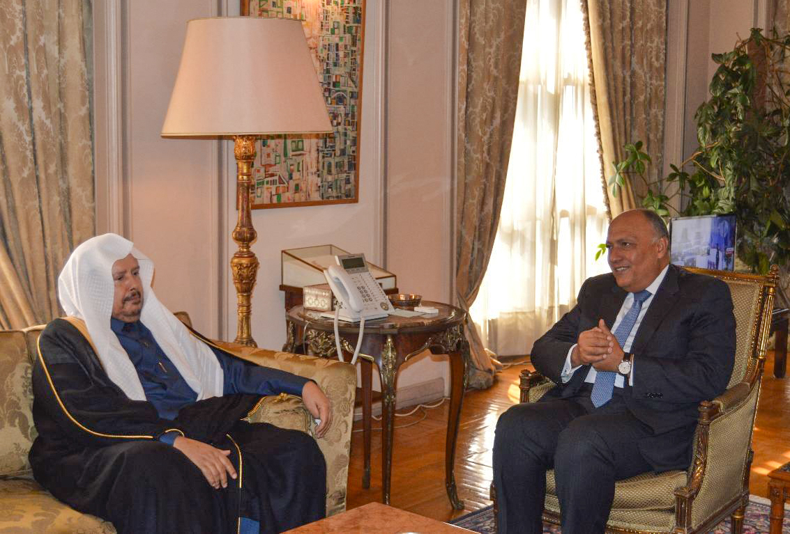 وزير الخارجية المصري سامح شكري يلتقي مع رئيس مجلس الشورى السعودي عبد الله آل شيخ