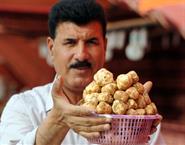 سلة من الفقع