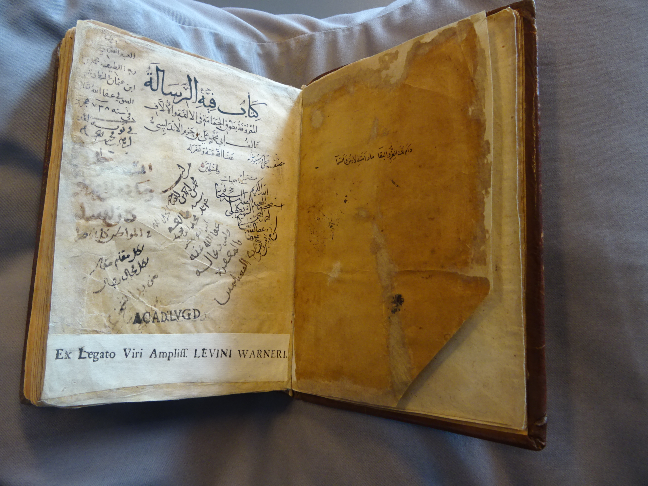 Le manuscrit du célèbre Tawk Al-Hamama, écrit par Ibn Hazm Al-Andalussi.