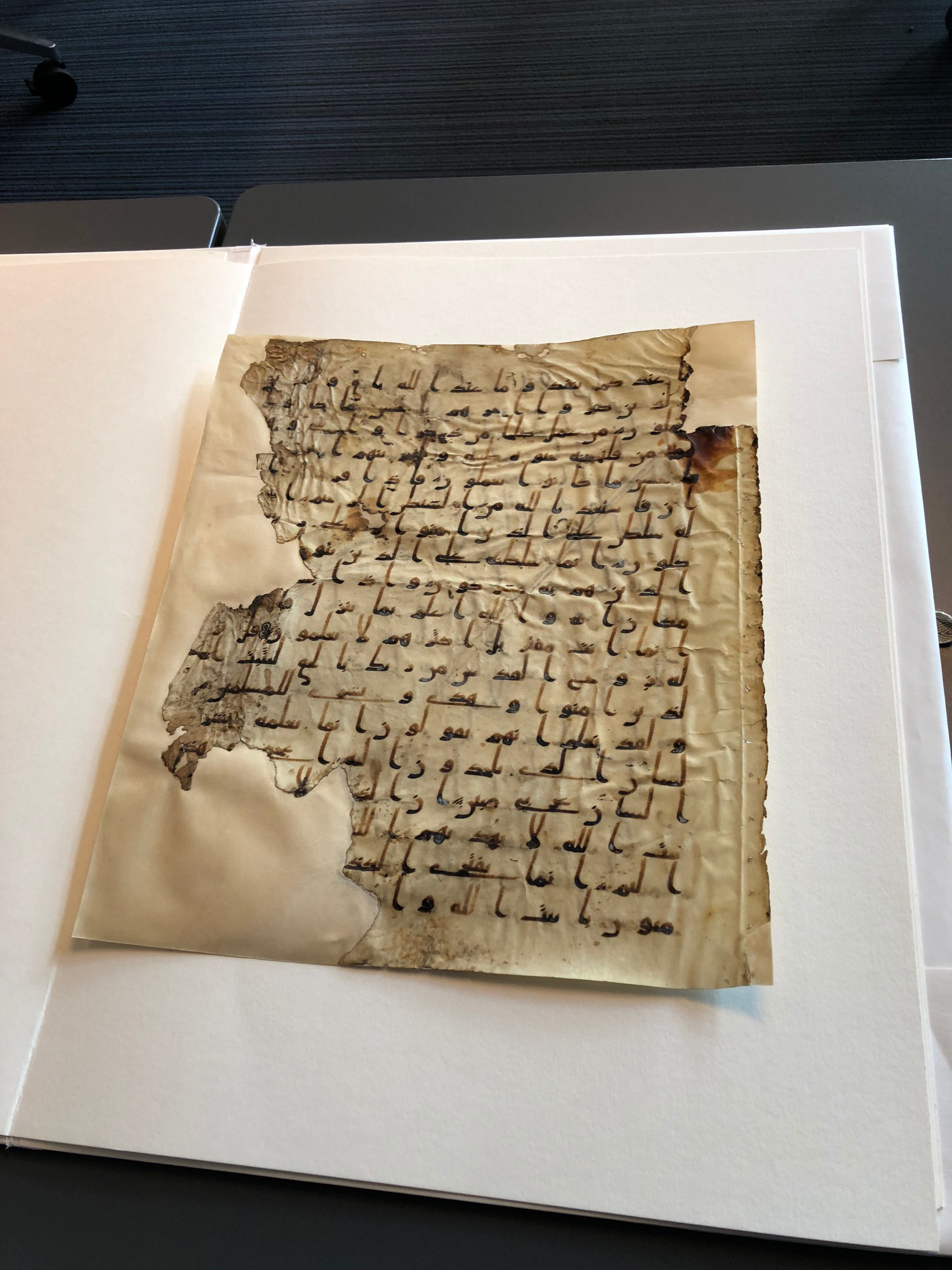 A manuscript of  leaflet of the Quran in the Leiden library