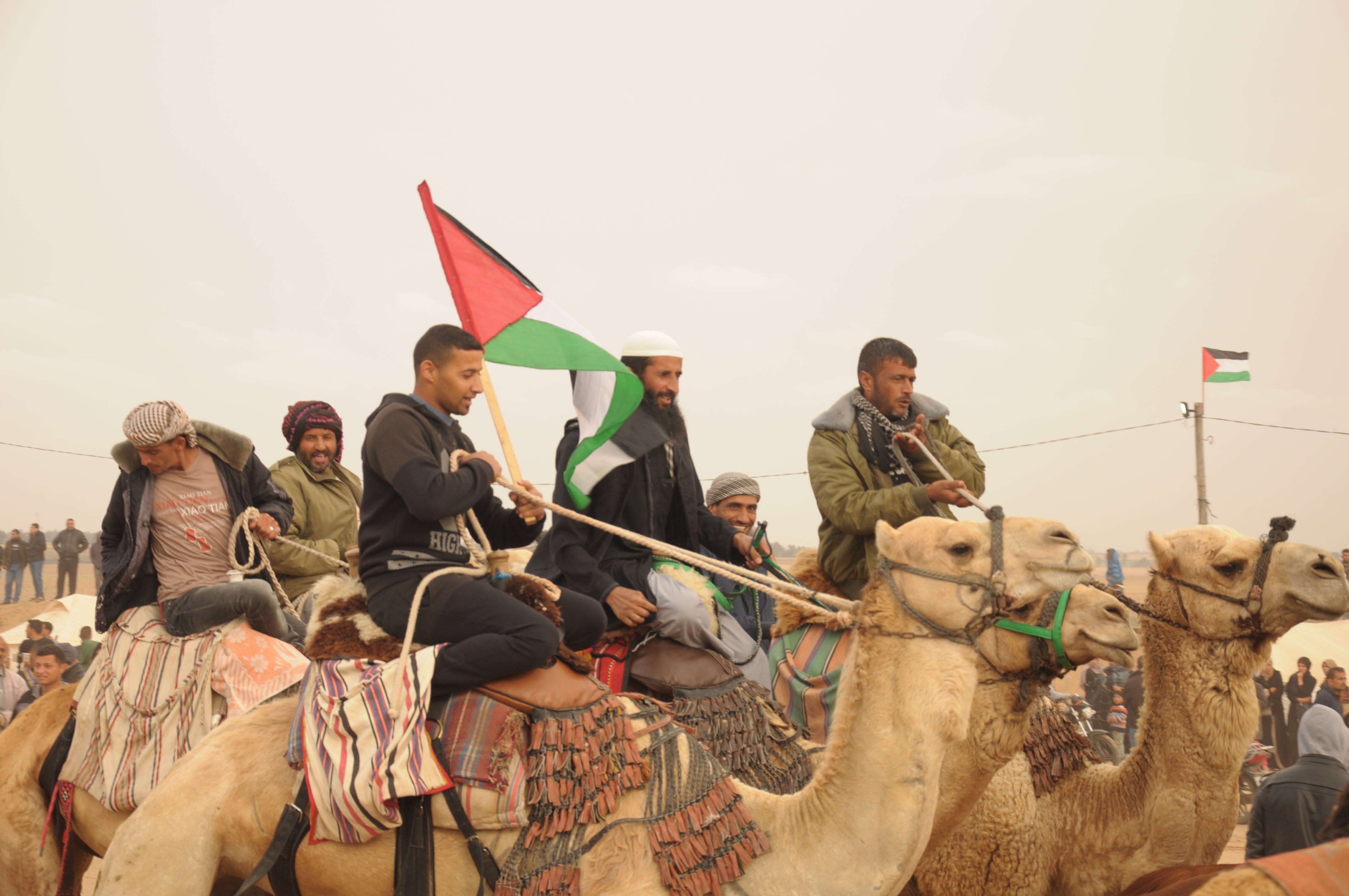 رفع العلم الفلسطيني اثناء عروض تراثية لركوب الابل بمخيمات العودة
