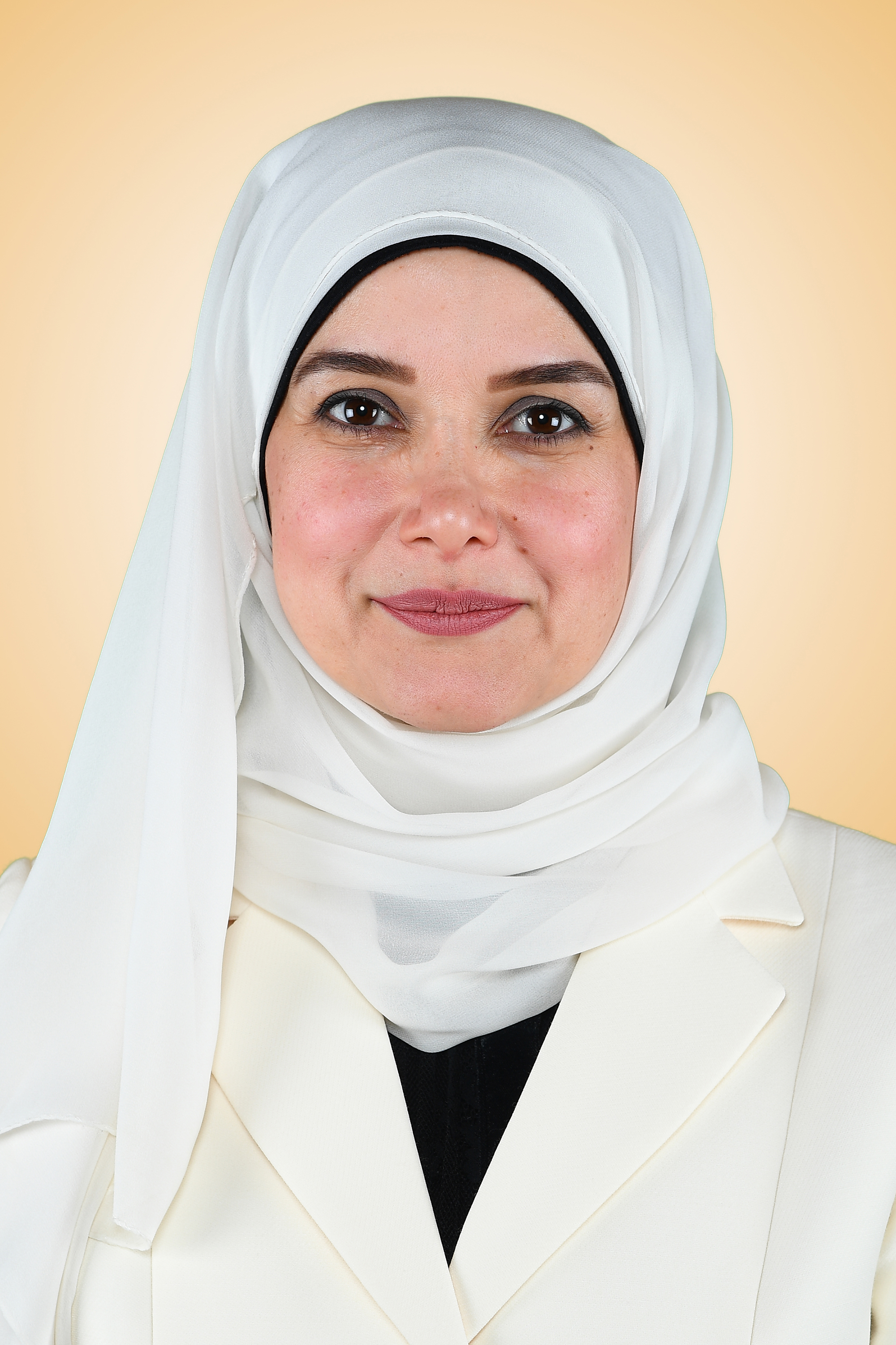 Minister of State for Housing Affairs Jinan Boushehri