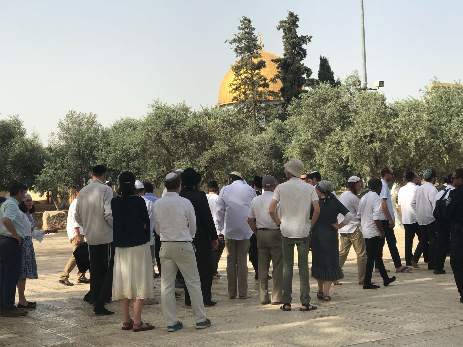 A group of Israeli radicals barged in Aqsa Mosque courtyard
