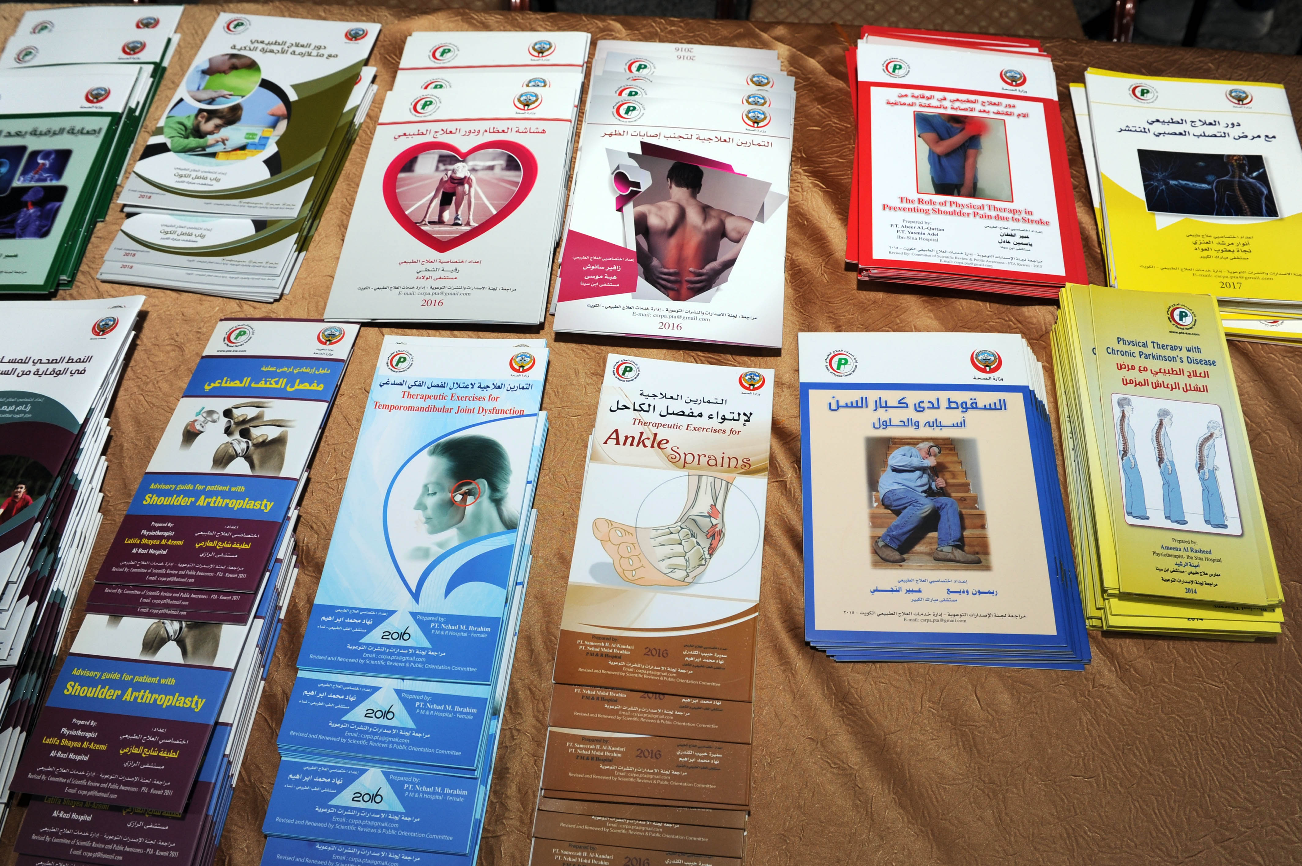  "Physical Therapy and Mental Health" brochures