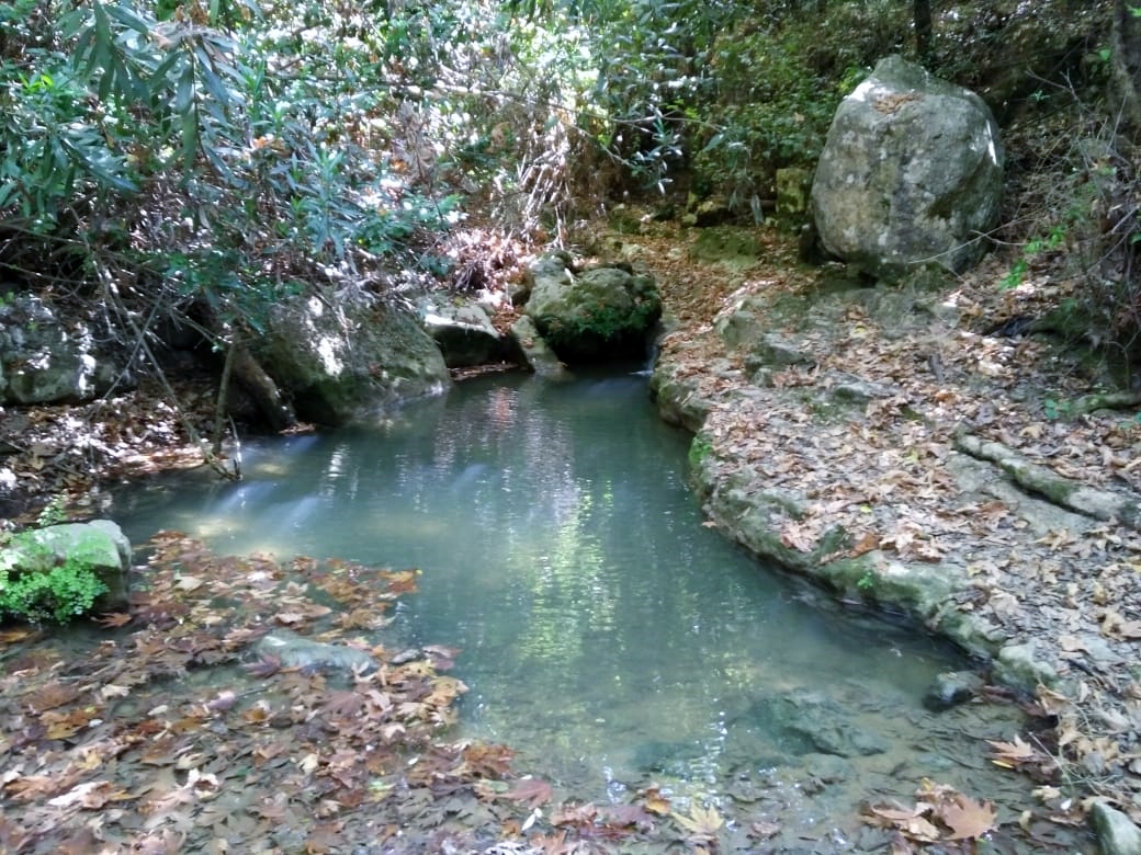 Water springs in Ammatour