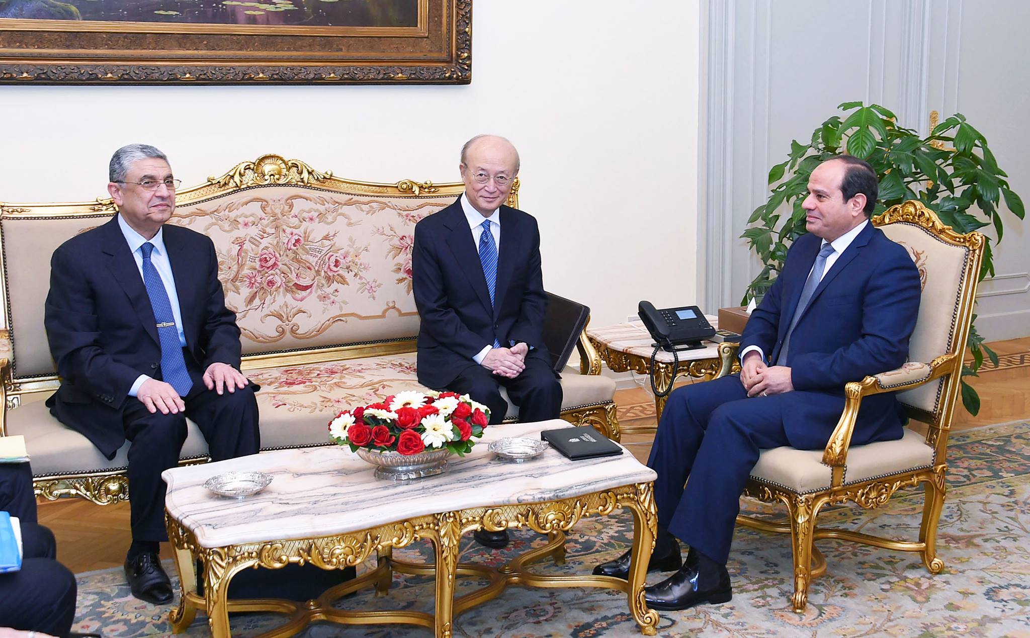 Egypt's President Abdulfatah Al-Sisi during the meeting with the Director-General of the International Atomic Energy Agency (IAEA) Yukiya Amano