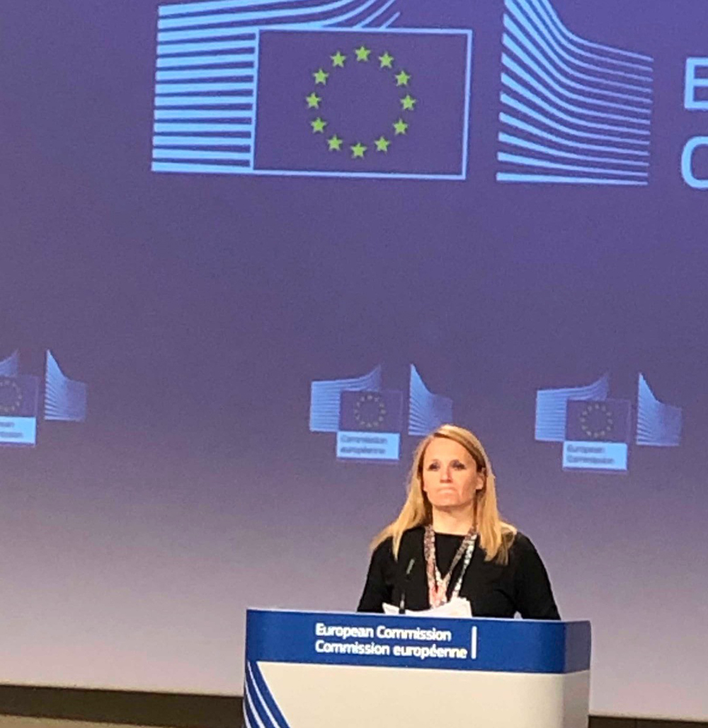 Spokesperson for EU High Representative Federica Mogherini
