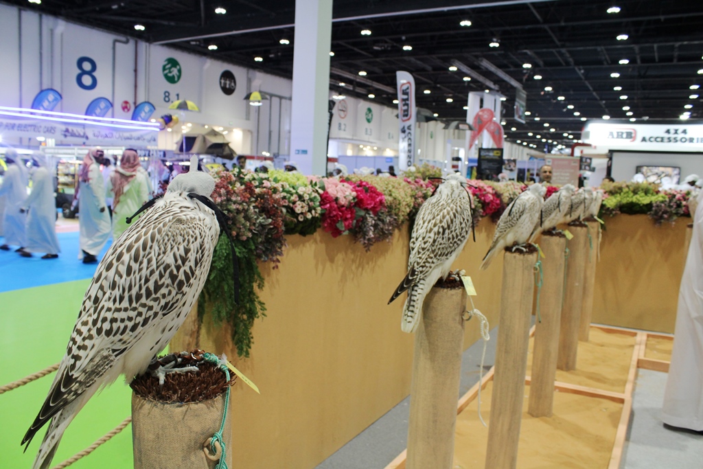 جانب من معرض ابوظبي الدولي للصيد والفروسية