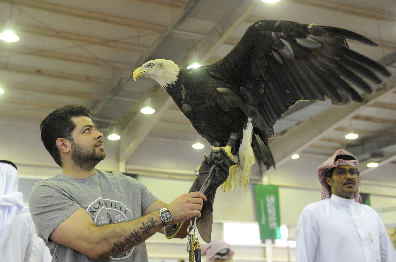احد المشاركين الكويتيين  بنسر امريكي نوع  بولد ايجل 