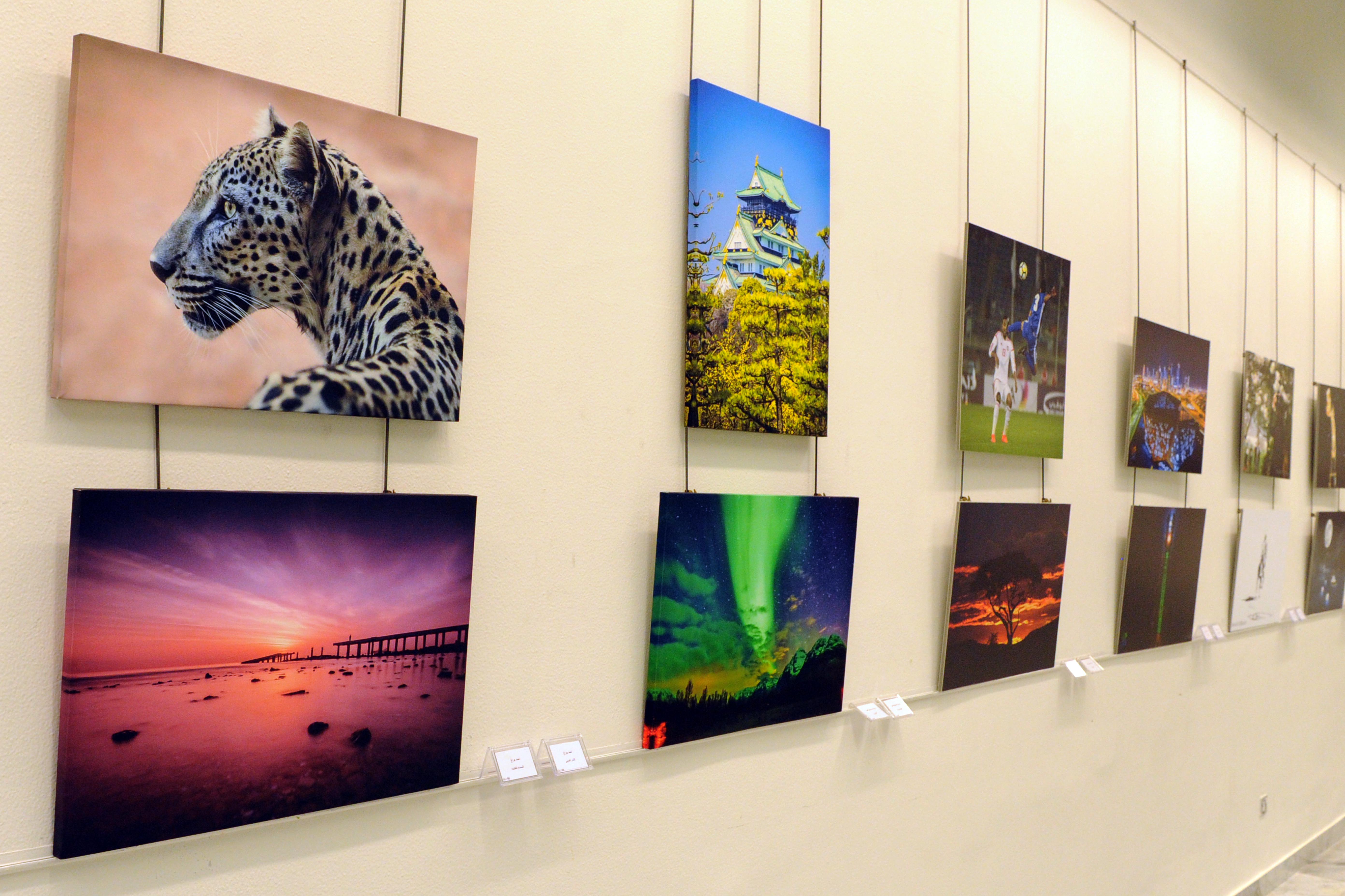 جانب من الصور بمعرض التصوير الفوتوغرافي