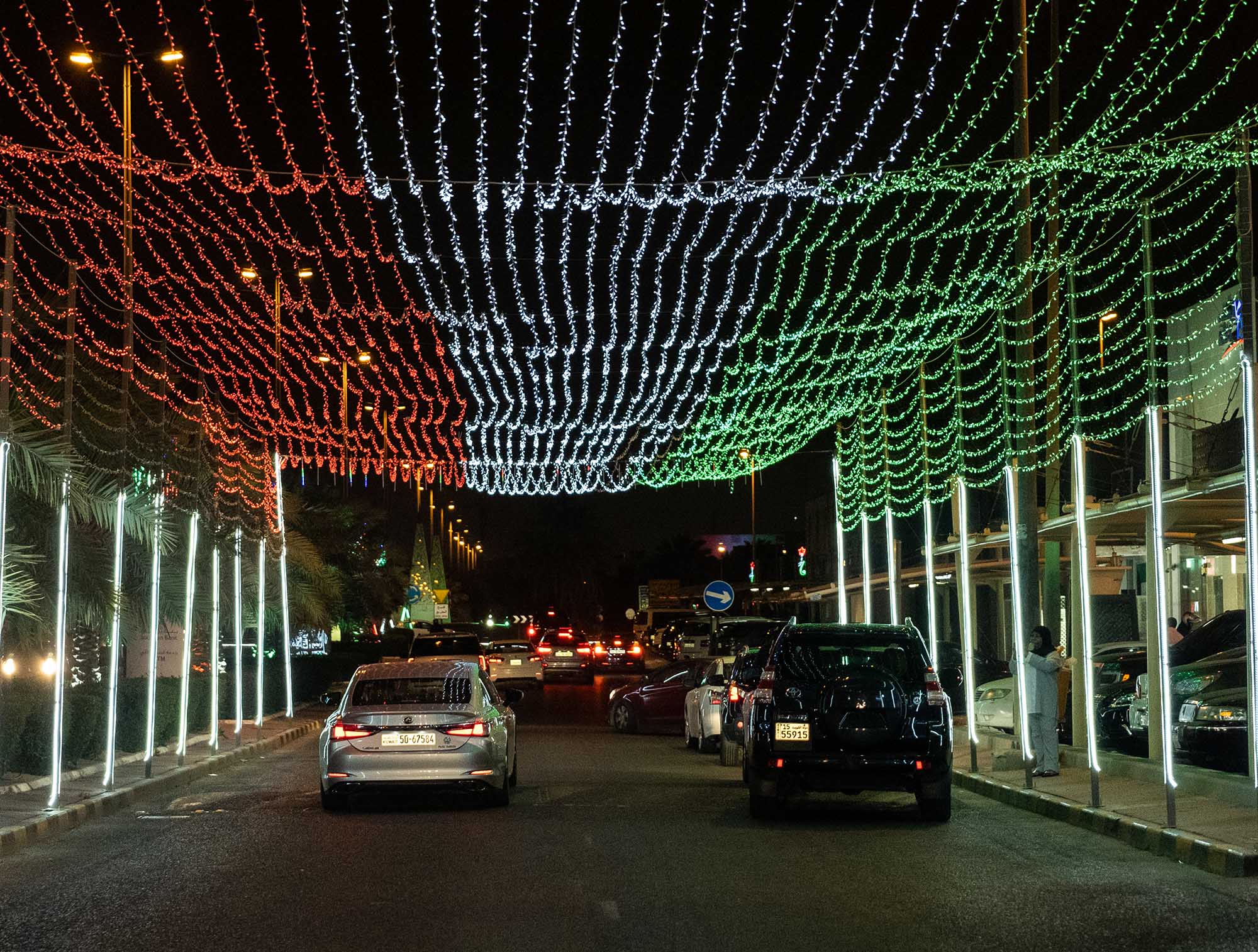 تغطية الشارع بالوان العلم