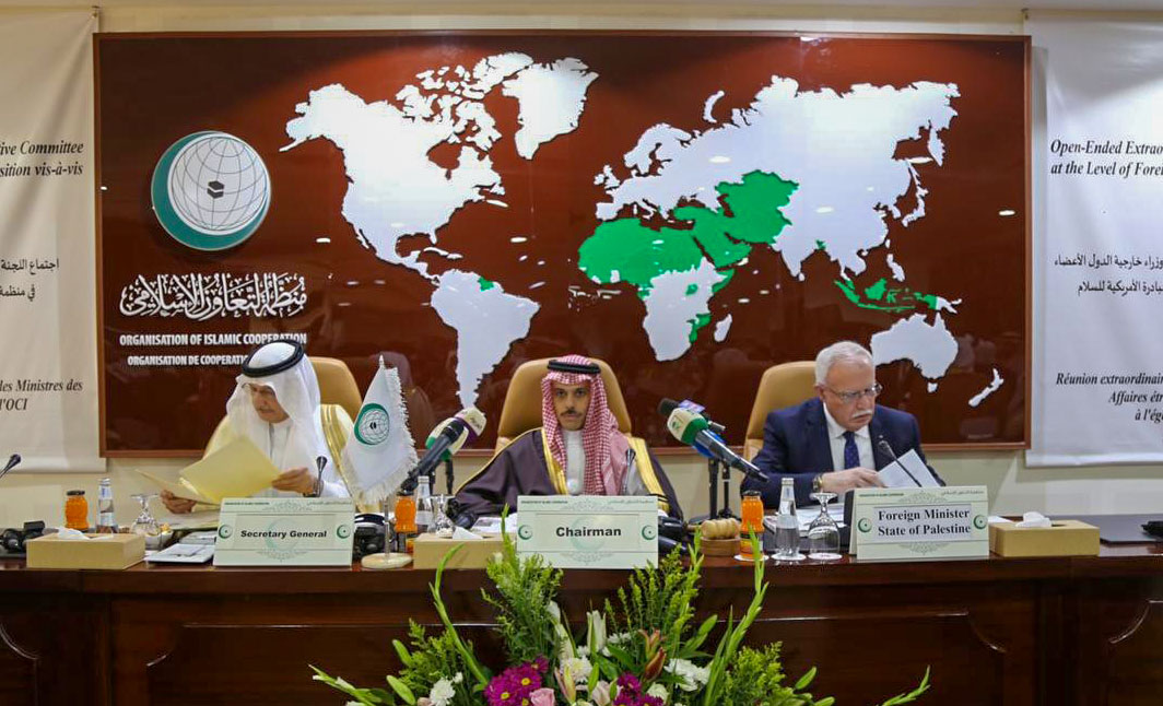 OIC's executive committee meeting