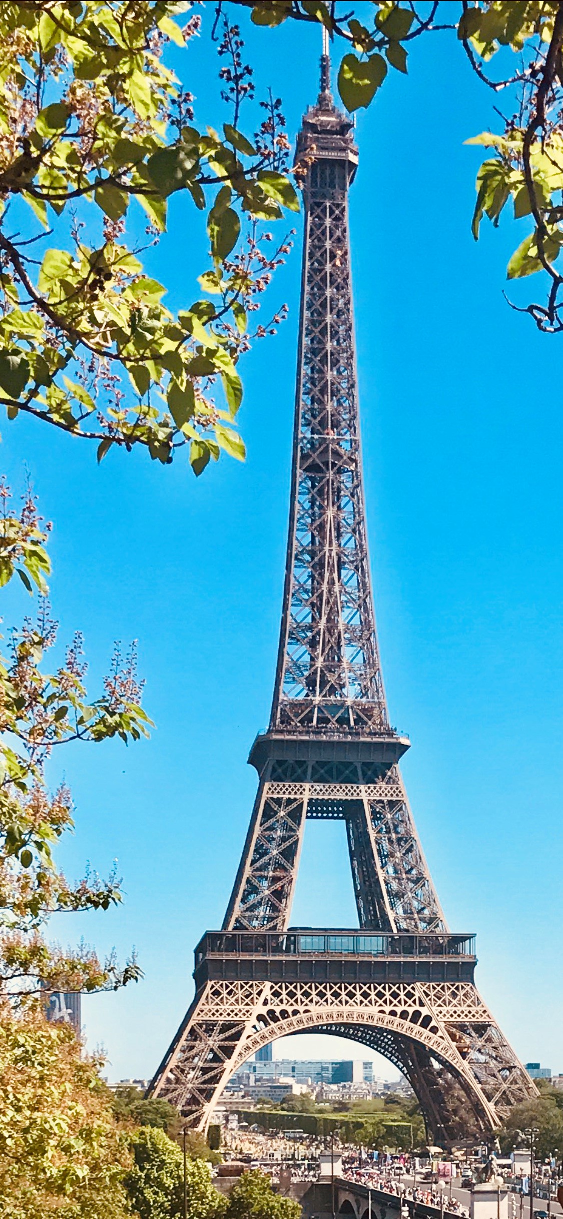 Eiffel Tower evacuated due to bomb threat