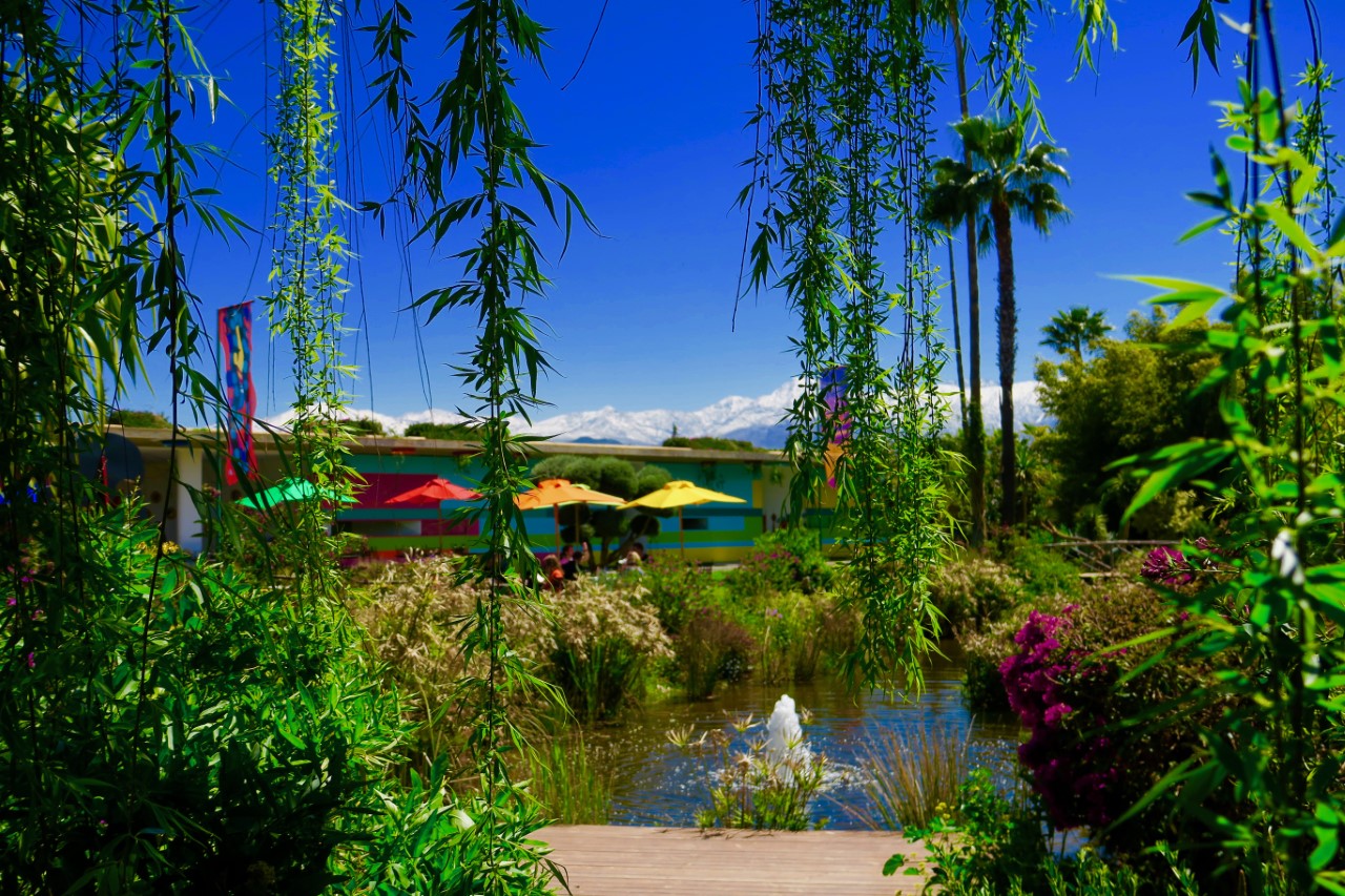 Charming landscape in Anima Garden