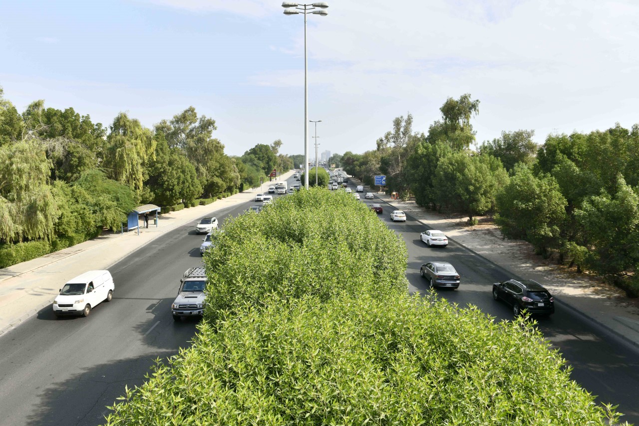 KUNA Planting requires concerted efforts PAAFR