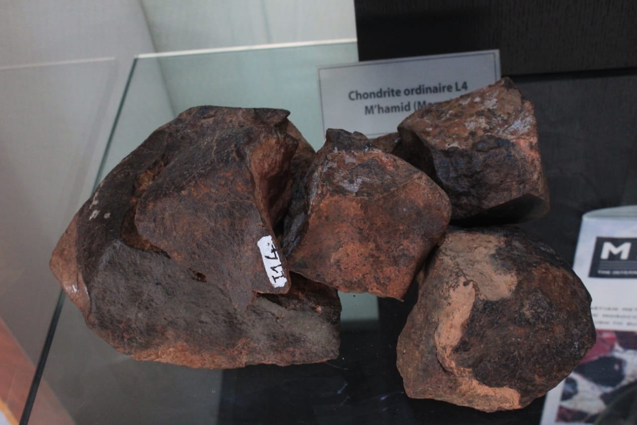 Iron meteorite found in (Mhamid) area in Morocco