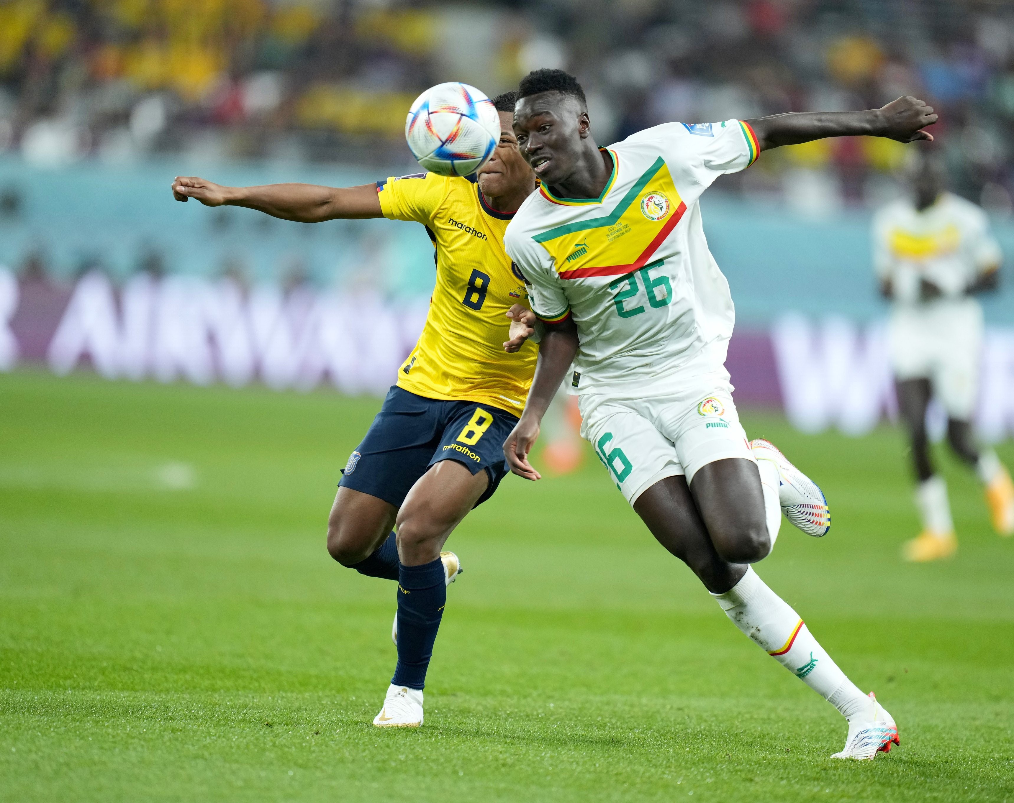 منافسة على الكرة بين لاعب المنتخب السنغالي ونظيره الاكوادوري