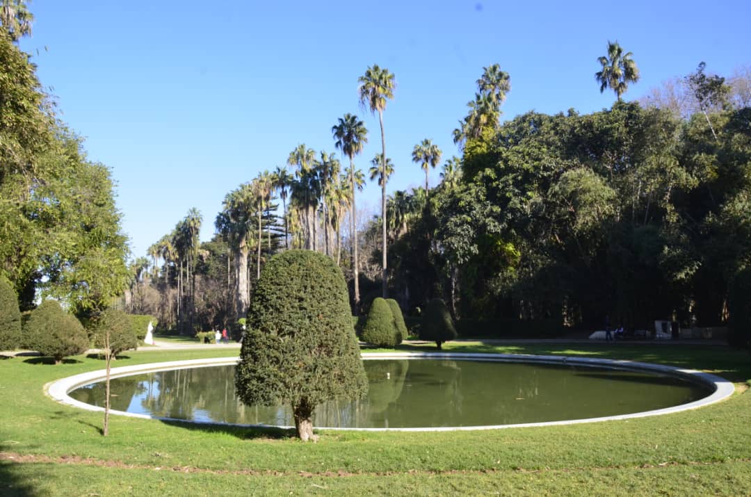 The Test Garden of Hamma is know for its unique plants and trees
