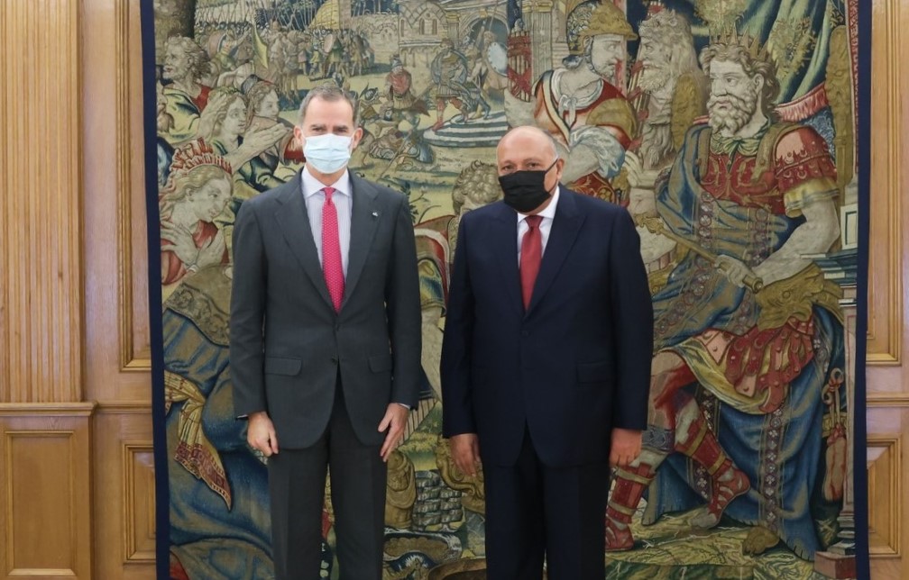 الوزير سامح شكري مع الملك الإسباني في القصر الملكي الإسباني