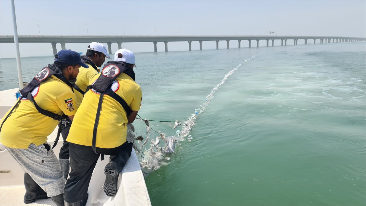 فريق الغوص الكويتي يرفع شباك صيد من جون الكويت