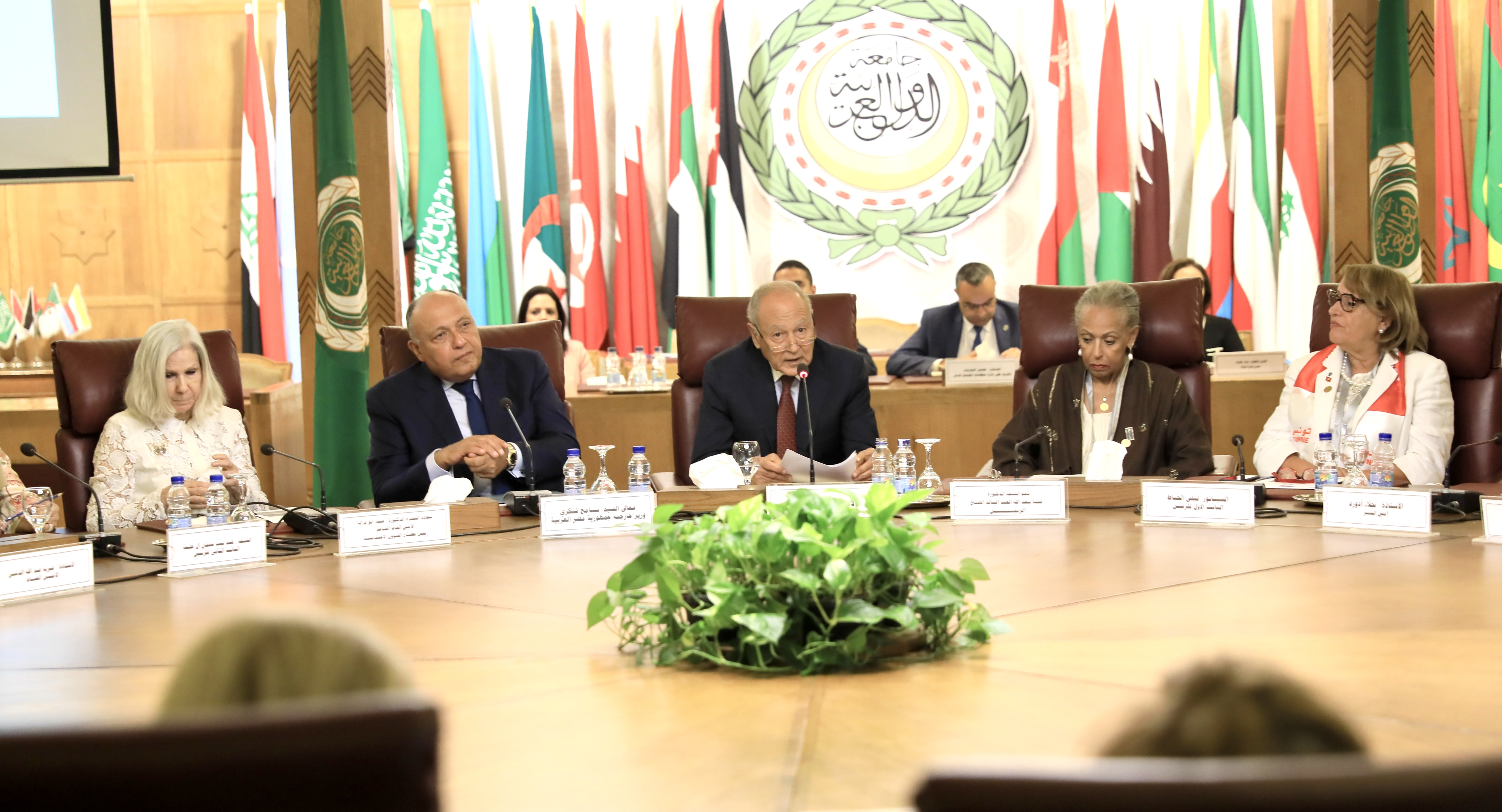 Secretary-General of the Arab League Ahmad Aboul-Gheit speaking to the Council's seventh General Assembly