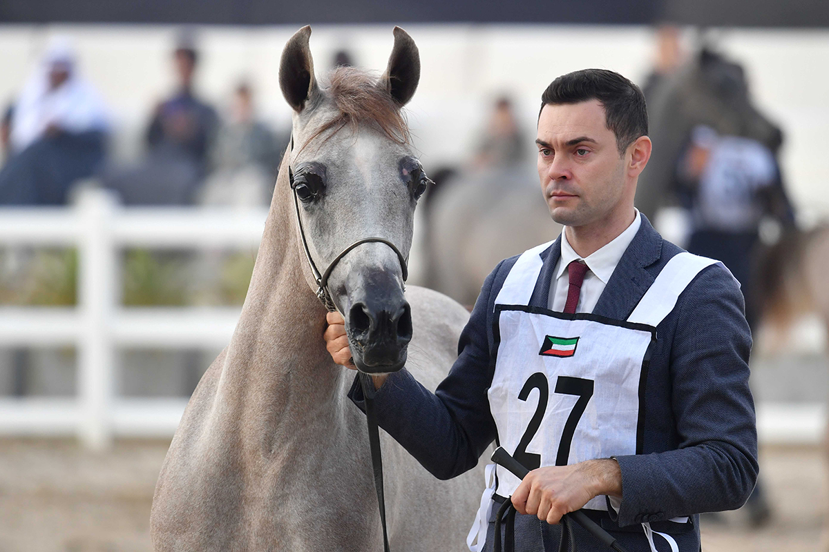 KUNA Equine glamor on display in Kuwait beauty pageant Sports 01