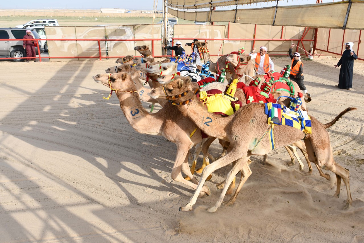 Kuwait Int'l Arabian Horse Festival culminates in award ceremony